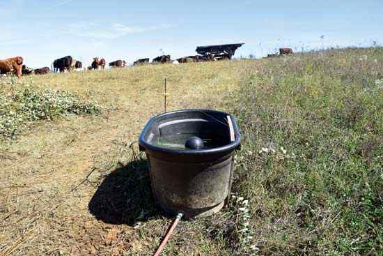 Water is abundant in spring, meaning leaks can be repaired without worrying about squandering this important resource.